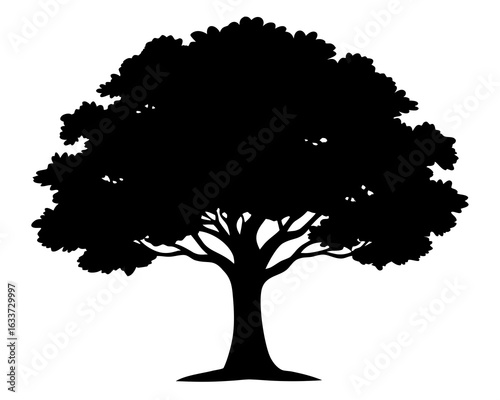 Tree  icon,Tree  black silhouette vector on white background