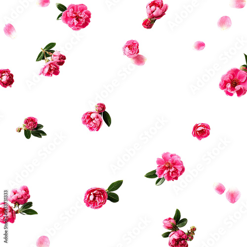 Wallpaper Mural Pink flower petals and blossoms falling on black background Torontodigital.ca