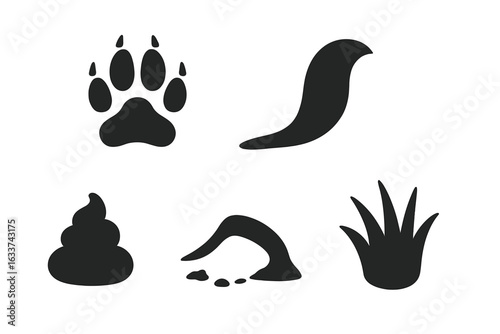 Skunk tracks and signs vector icon set. Solid black wildlife trail illustrations: paw print, tail drag mark, scat droppings, digging hole, fur tuft, animal spoor, footprint, mammal field signs