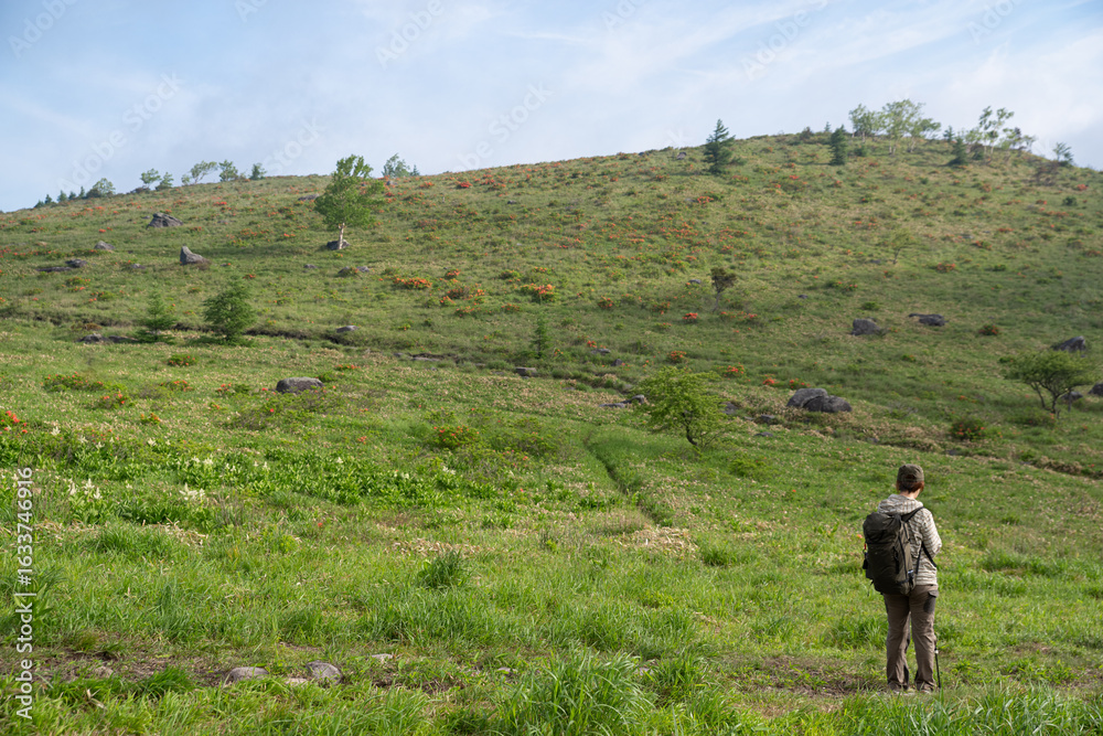 Fototapeta premium 爽やかな朝の高原 霧ヶ峰 