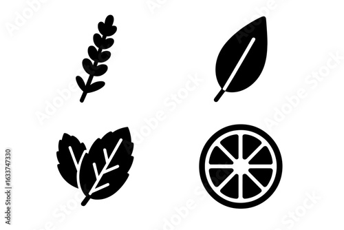 Summer scent icon collection. Black solid vector illustrations of lavender sprig, eucalyptus leaf, mint leaves, citrus fruit slice. Aromatic plants and fresh herbal flavors symbols isolated.
