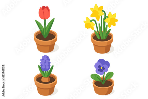 Isometric Vector Set of Seasonal Spring Flower Pots – Tulip, Daffodil, Hyacinth Bulb, Pansy. Colorful Potted Blooms, Garden Plants Illustration, Botanical Decor Icon Collection, Transparent Background