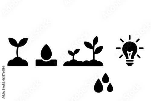 Seed germination icons set. Solid vector symbols of seed sprout, soil, stages of plant growth, water drops, sunlight, lightbulb concept. Farming, agriculture, biology, botany, eco gardening isolated