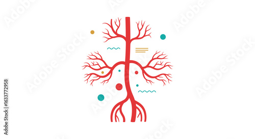 The human circulatory system an intricate network essential for life and health