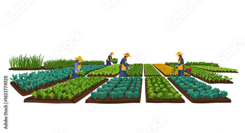 Farmers working in community garden with diverse vegetables on raised beds