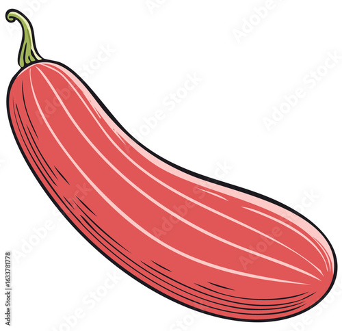Red striped vegetable illustration with green stem. Fresh healthy produce vector.