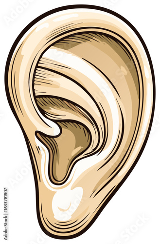 Stylized illustration of a human ear in beige and brown tones with bold outlines