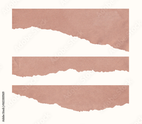 collection set of torn paper