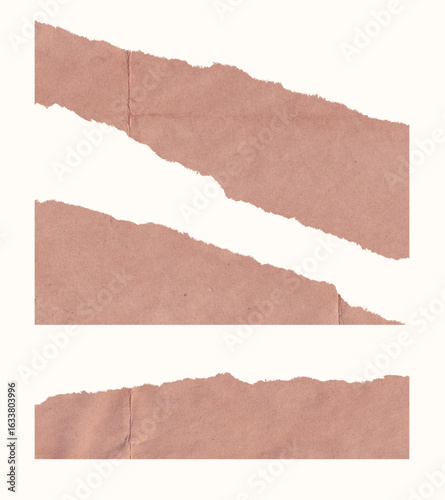 collection set of torn paper