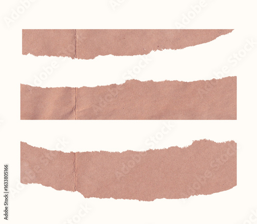 collection set of torn paper