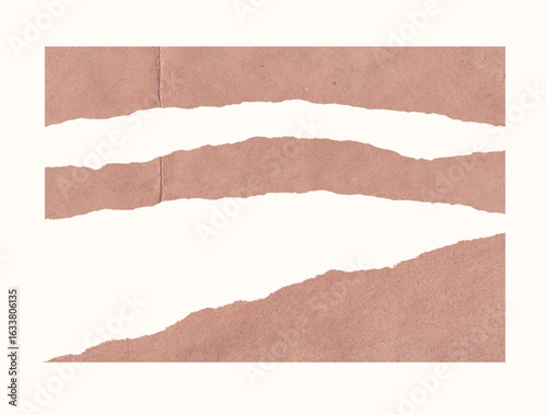 collection set of torn paper