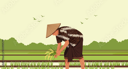 Farmer Harvests Rice Crop On The Field In Southeast Asia Illustration