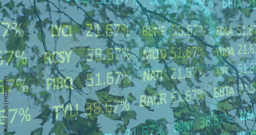 Photography Merging tree branches and green leaves across misty canopy, with stock ticker an