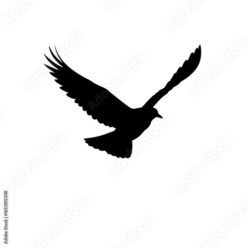 Flock of birds in flight silhouette. A group of soaring seagulls flying together, symbolizing freedom and migration against a white background.