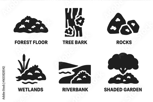 Moss Habitats Icons Set. Solid Filled Vector Illustration of Moss Growing on Forest Floor, Tree Bark, Rocks, Wetlands, Riverbank, Shaded Garden. Nature Plants Biome Elements Isolated