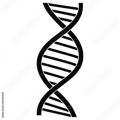 Black and white D N A double helix structure icon molecule genetics