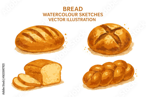 Watercolor Bread Vector Collection. Classic Artisan Loaf, Sliced White, Round Rustic, Braided Challah. Bakery Pastry Illustration. Hand Painted Food Clipart for Labels, Menus, Packaging, Design