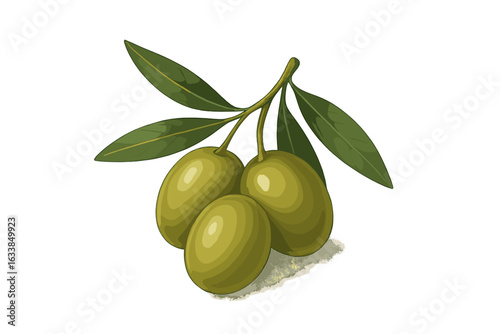 Realistic green olives branch vector illustration with leaves isolated on white background. Mediterranean food ingredient, healthy organic olive oil concept. Fresh natural fruit product design.