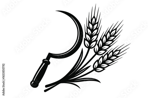 Vector illustration of sickle and golden wheat ears on transparent background, agricultural farming tool and ripe cereal crop harvest concept, rural countryside farming design