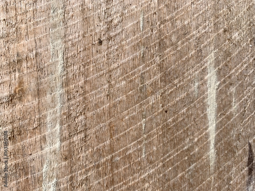 Fototapeta premium abstract background texture art new