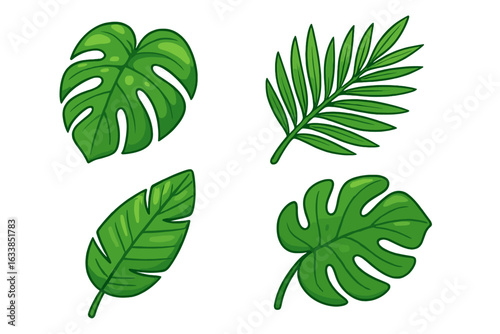 Set of 4 cartoon tropical leaves vector illustration. Lush jungle foliage, monstera, palm, banana leaf set isolated on white background. Exotic rainforest greenery for design, decoration, pattern