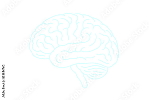 Glowing human brain outline. Neon luminous mind map. Abstract cerebral cortex vector illustration. Sci-fi medical neural network. Medical science anatomy. Intelligence synapse. Transparent background.