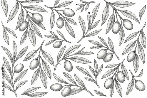 Hand drawn seamless olive branches pattern, vintage botanical olives fruit background, detailed sketch leaf and twig design, Mediterranean nature illustration, food packaging and textile motif