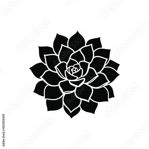 Echeveria vector silhouette