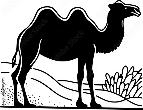 camel in desert