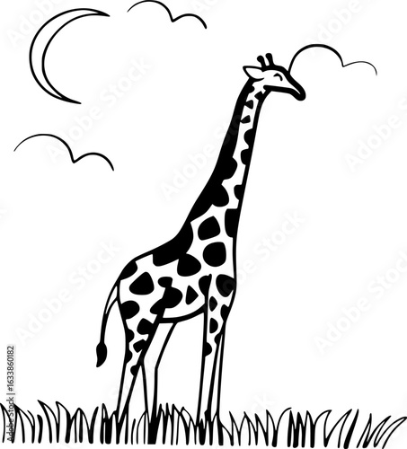 giraffe