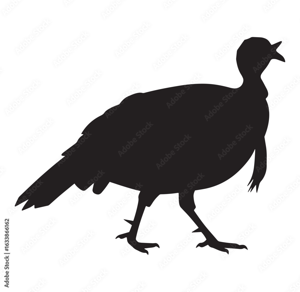 Fototapeta premium Silhouette of a wild turkey in black isolated on a white background for design and illustrations