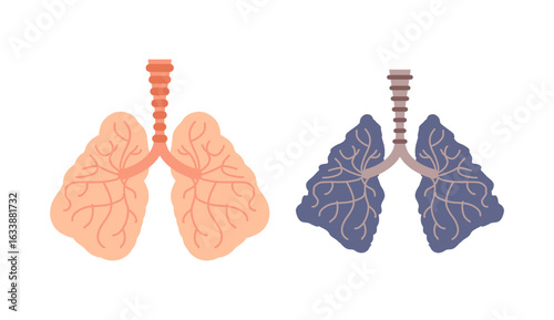 comparing healthy and diseased lungs. Visual metaphor for smoking, pollution, or respiratory illness. Perfect for health campaigns, medical education, and anti-smoking messages.