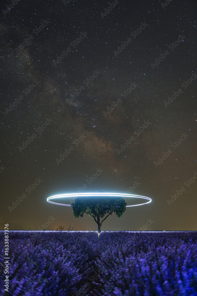 Fototapeta premium Magical nighttime view of a lavender field under a starry sky with the Milky Way in the background. A lone tree stands at the center of the field, while light trails from a drone illuminate the scene.