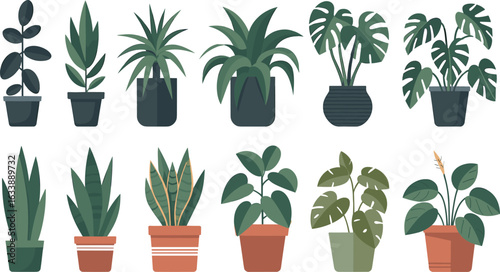 Potted plant collection, indoor foliage variety, decorative houseplants in unique containers, botanical illustration for home decor, gardening, and plant identification design