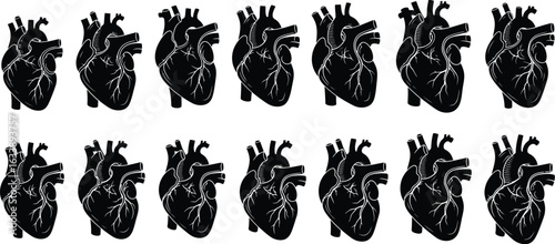 Anatomical hearts in a seamless pattern for medical designs
