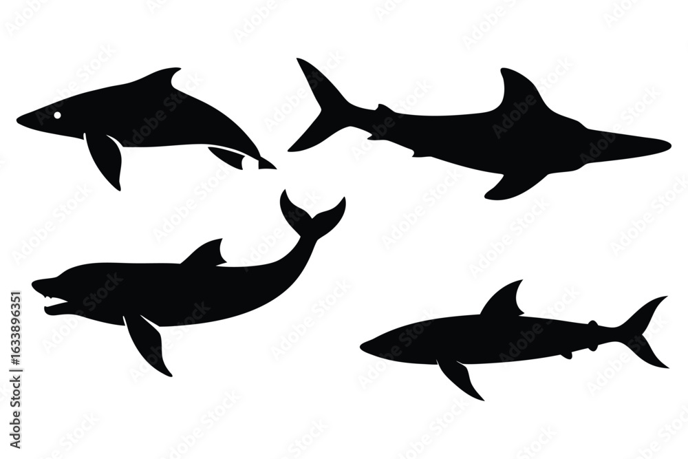 Fototapeta premium Silhouette of two dolphins and two sharks swimming