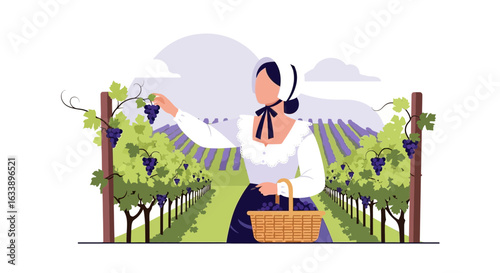 Grape Harvest Season In Picturesque Vineyard, Lady Collecting Ripe Fruits