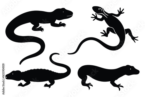 Four black lizard silhouettes on white background