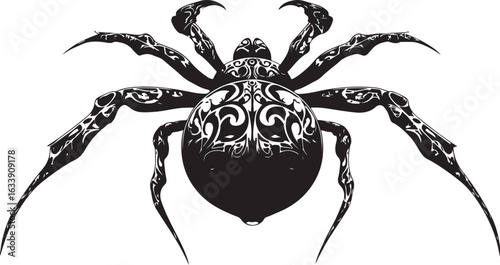 Black spider vector illustration isolated on white background