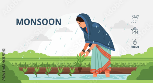 Monsoon Season Rural Farmer Cultivating Paddy Fields In Heavy Rains