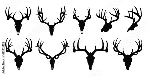 Deer skull silhouettes with antlers