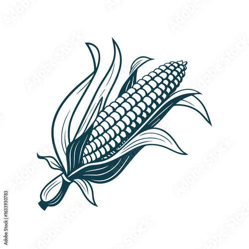 Engraved Corn Cob with Husk — Monochrome Vector Line Art