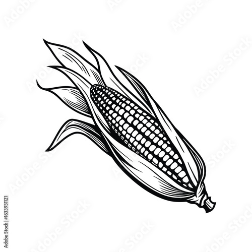 Detailed Corn Cob with Husks — Black and White Engraving-Style Vector Illustration


