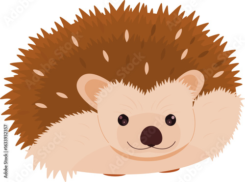 hedgehog
