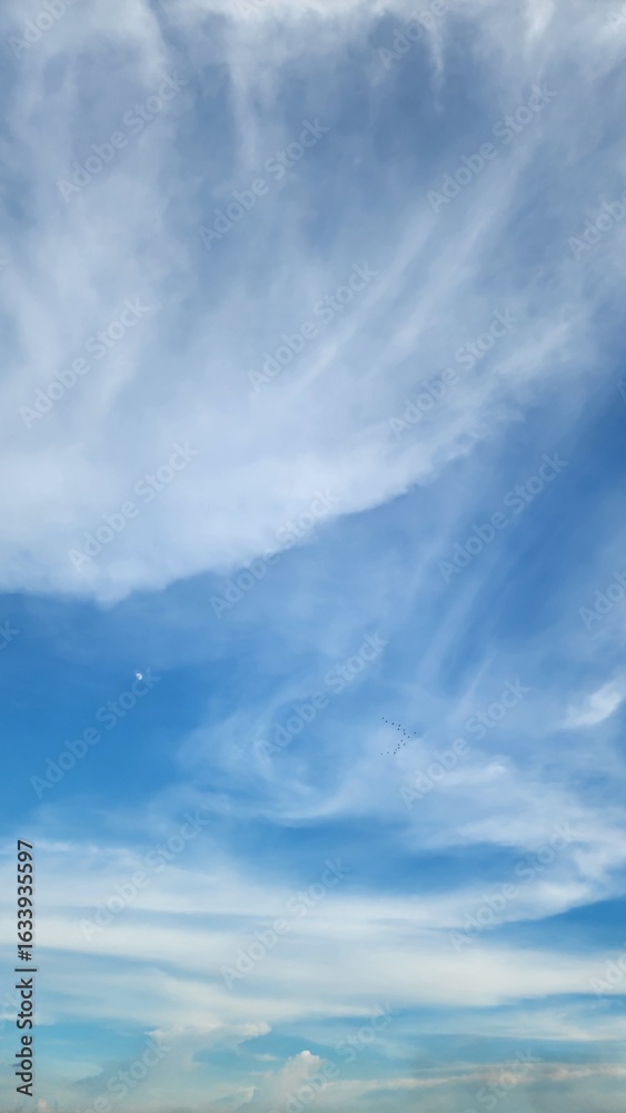 Fototapeta premium sky and clouds-cirrus