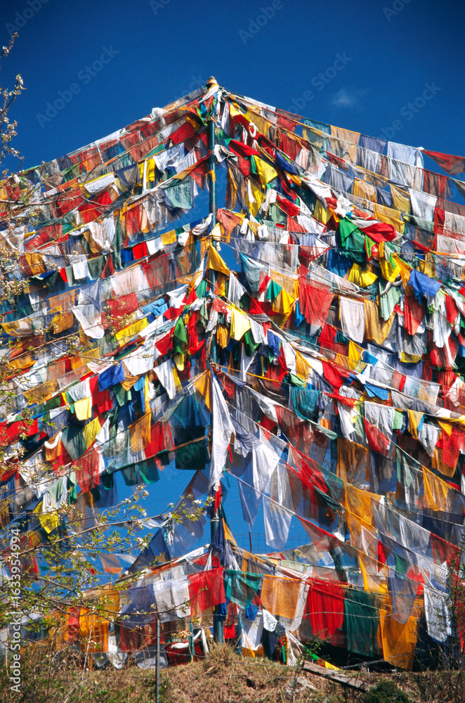 Fototapeta premium indian buddhist prayer flags india