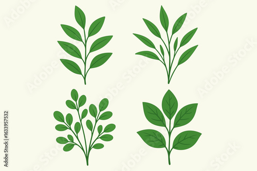 Set of 4 Green Leaf and Plant Branch Illustration Collection. Botanical Natural Elements. Flat Design Vector Isolated on Light Background. Foliage, Herb, Flora, Decorative Leaves Clipart