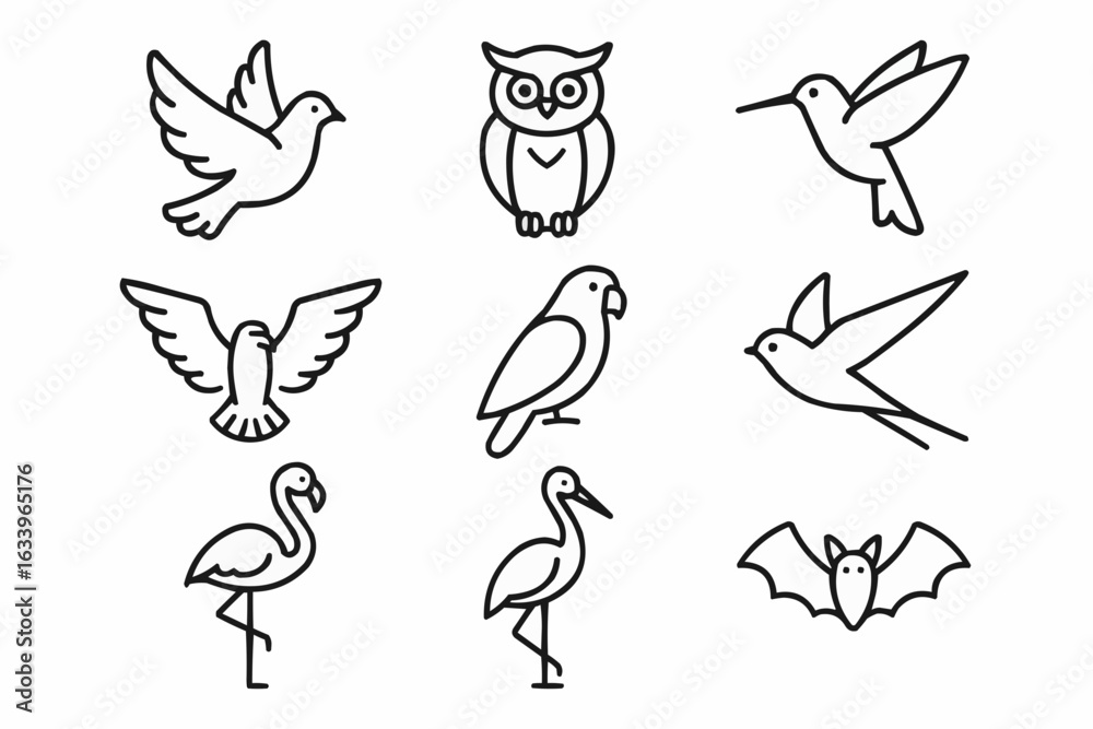 Fototapeta premium set of birds