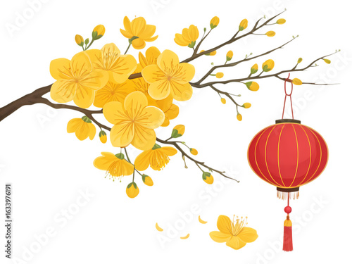 Apricot Blossom and Lantern