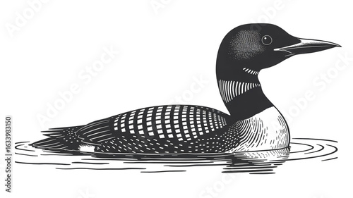 A black and white woodcut illustration of a loon swimming on water.